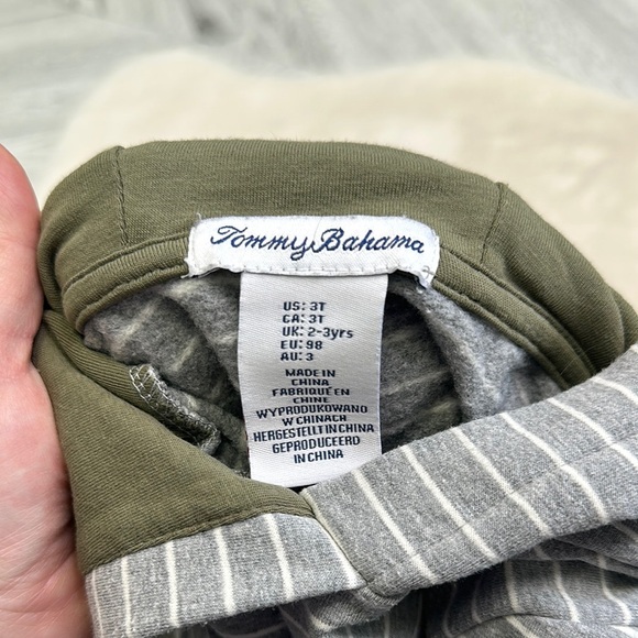 Tommy Bahama - Striped Gray Hoodie and Olive Pants Set - Picture 4 of 9